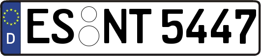 ES-NT5447