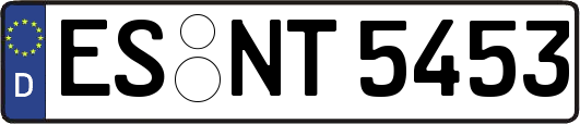 ES-NT5453