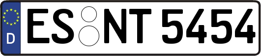 ES-NT5454