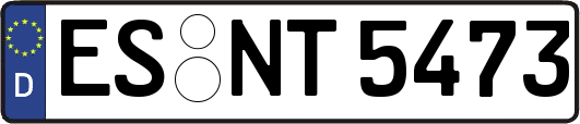 ES-NT5473