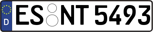 ES-NT5493
