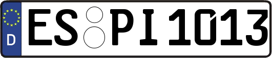 ES-PI1013