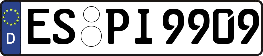ES-PI9909