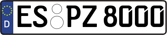 ES-PZ8000