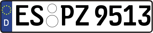 ES-PZ9513