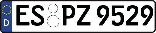 ES-PZ9529