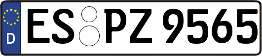ES-PZ9565