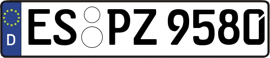 ES-PZ9580