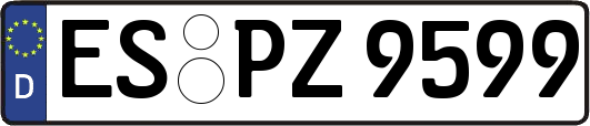 ES-PZ9599