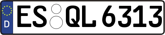 ES-QL6313