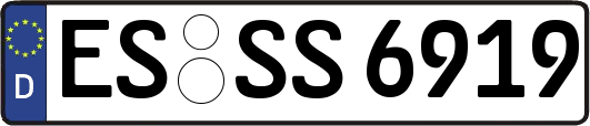 ES-SS6919