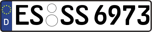 ES-SS6973