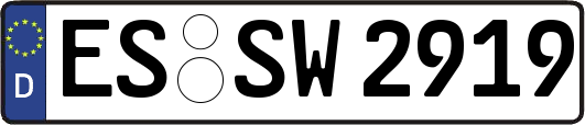 ES-SW2919