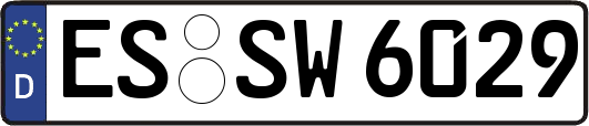 ES-SW6029