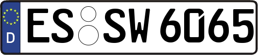 ES-SW6065