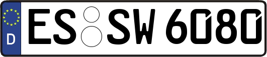 ES-SW6080