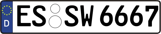 ES-SW6667