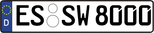ES-SW8000