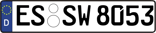 ES-SW8053