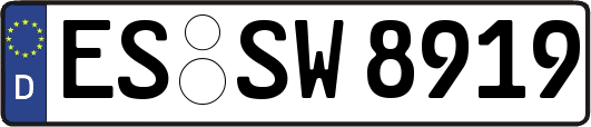 ES-SW8919