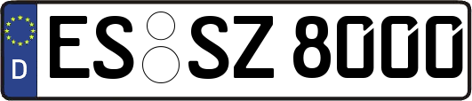 ES-SZ8000