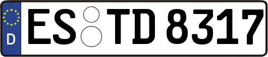 ES-TD8317