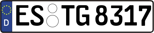 ES-TG8317