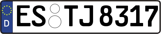 ES-TJ8317