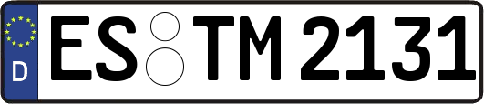 ES-TM2131
