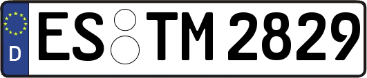 ES-TM2829