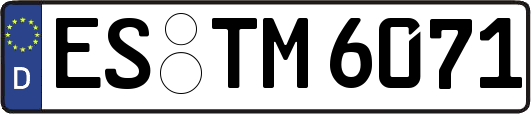 ES-TM6071