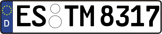 ES-TM8317