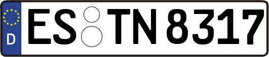 ES-TN8317