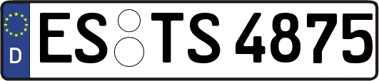 ES-TS4875