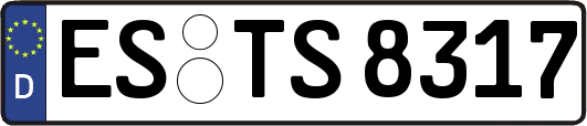 ES-TS8317