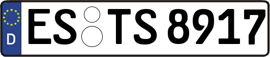 ES-TS8917