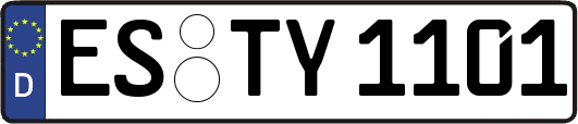 ES-TY1101