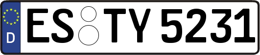 ES-TY5231