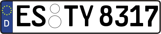 ES-TY8317
