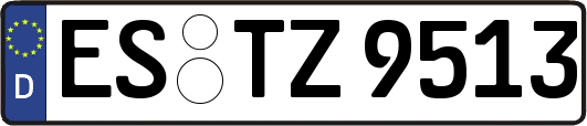 ES-TZ9513