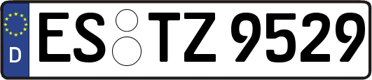 ES-TZ9529