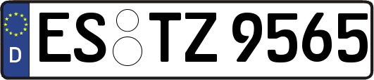 ES-TZ9565
