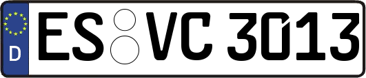 ES-VC3013