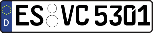 ES-VC5301