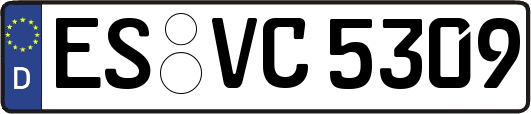 ES-VC5309