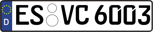 ES-VC6003
