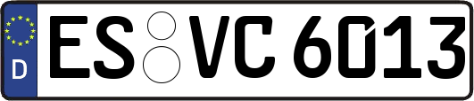 ES-VC6013