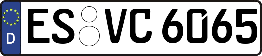 ES-VC6065