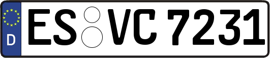 ES-VC7231