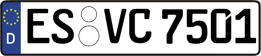 ES-VC7501